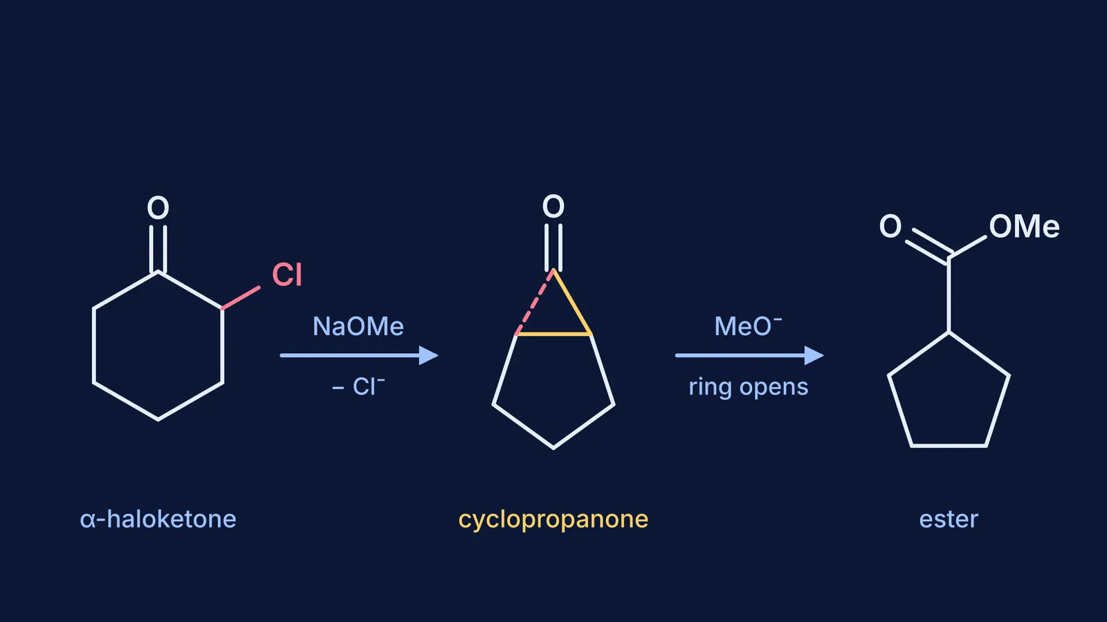 2-chlorocyclohexanone forms a fused cyclopropanone, then opens to a cyclopentane ester