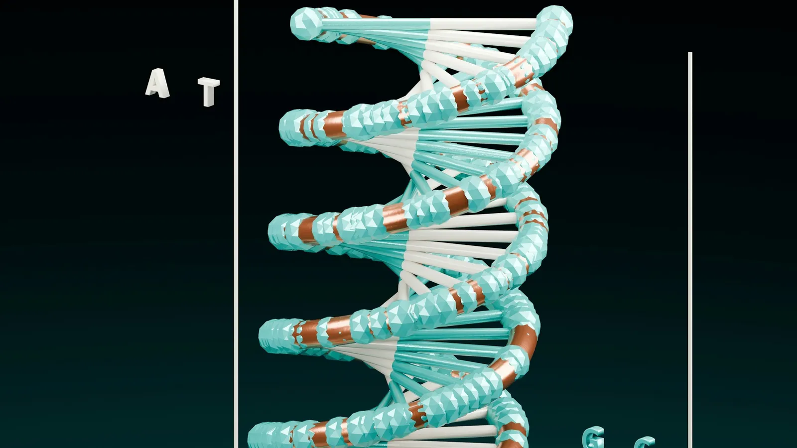 3D model of a DNA double helix