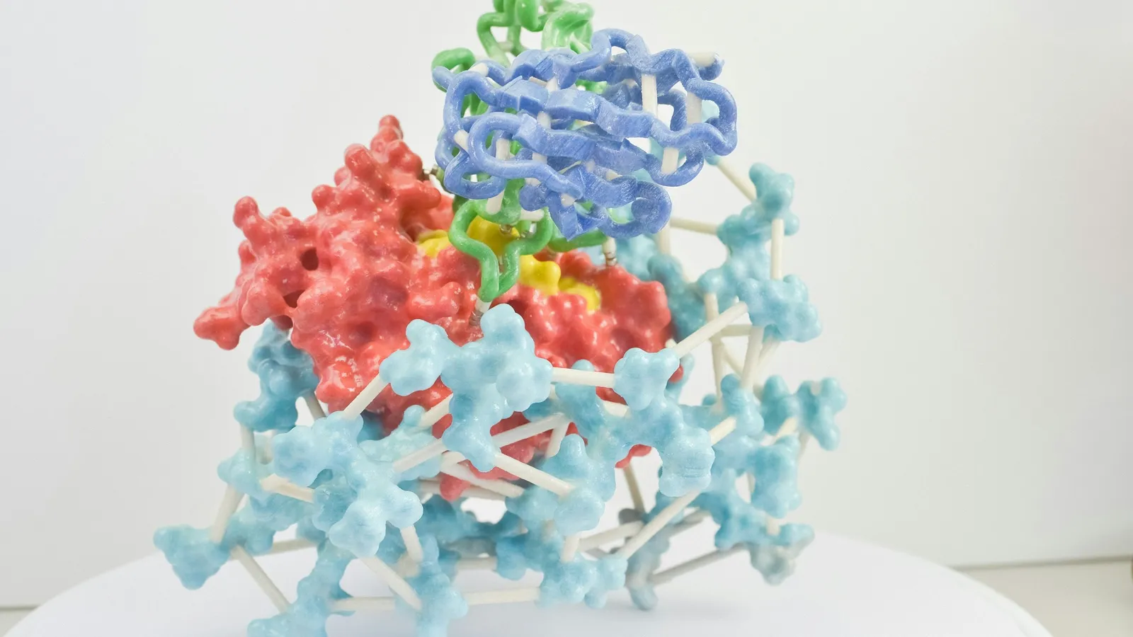 3D model of a protein structure