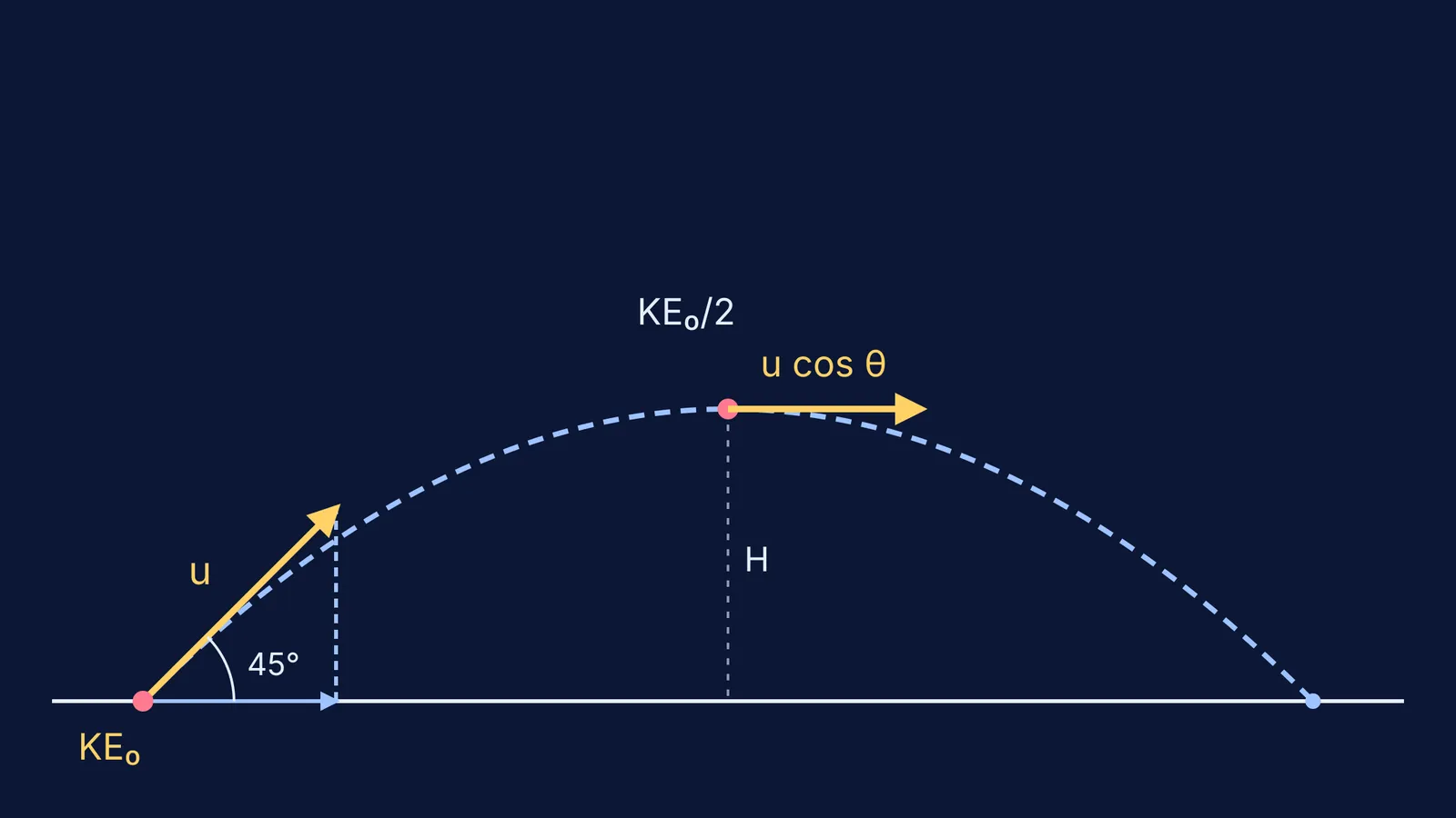 45° projectile path with launch velocity and horizontal velocity at the top