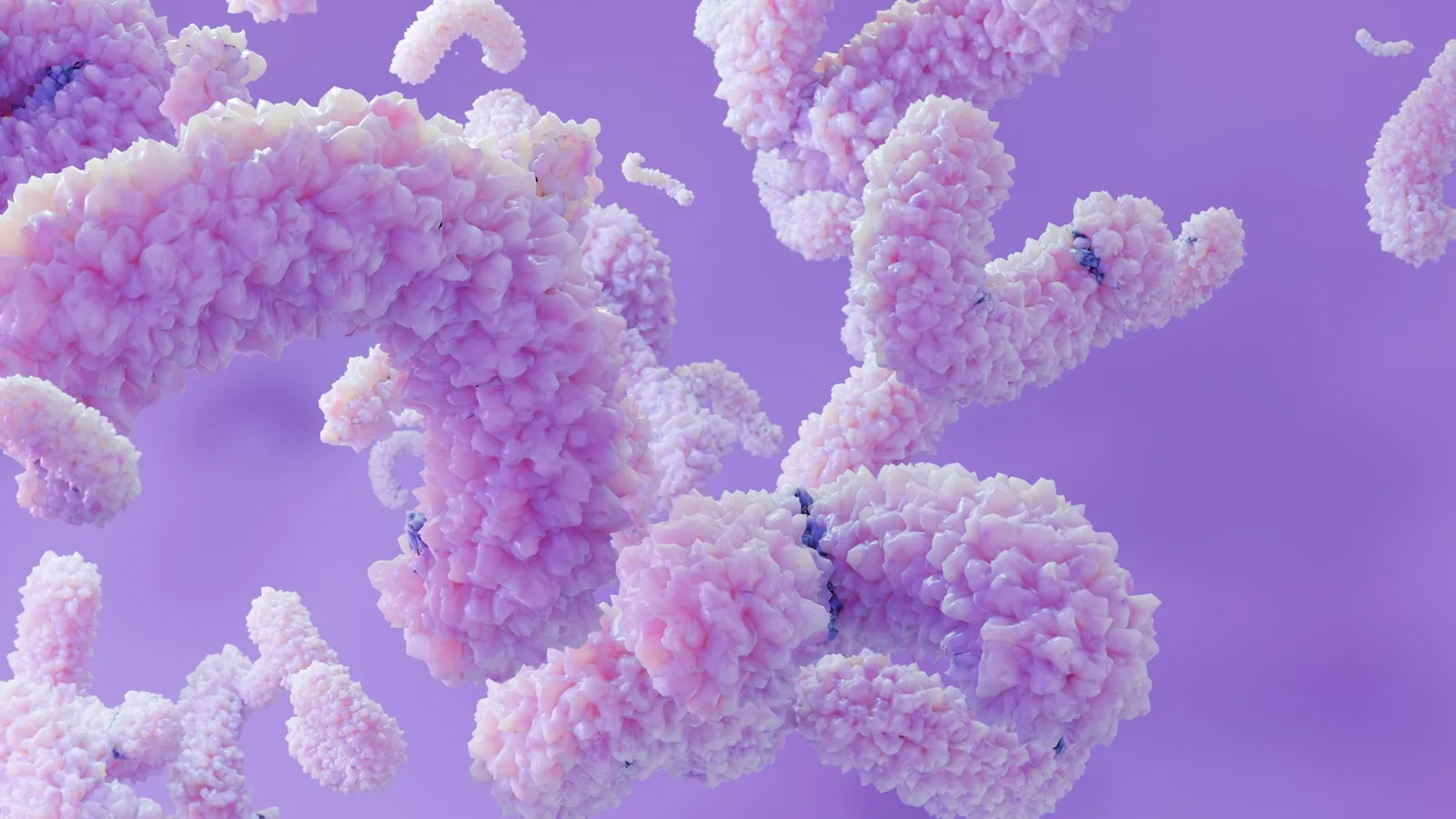 A 3D illustration of Y-shaped antibody molecules