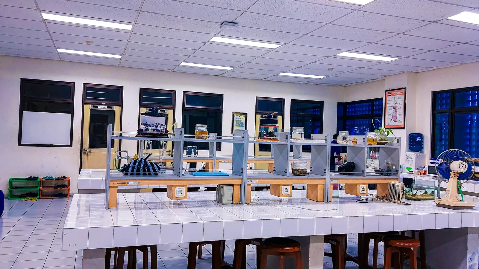A bright teaching laboratory with long white benches and sinks