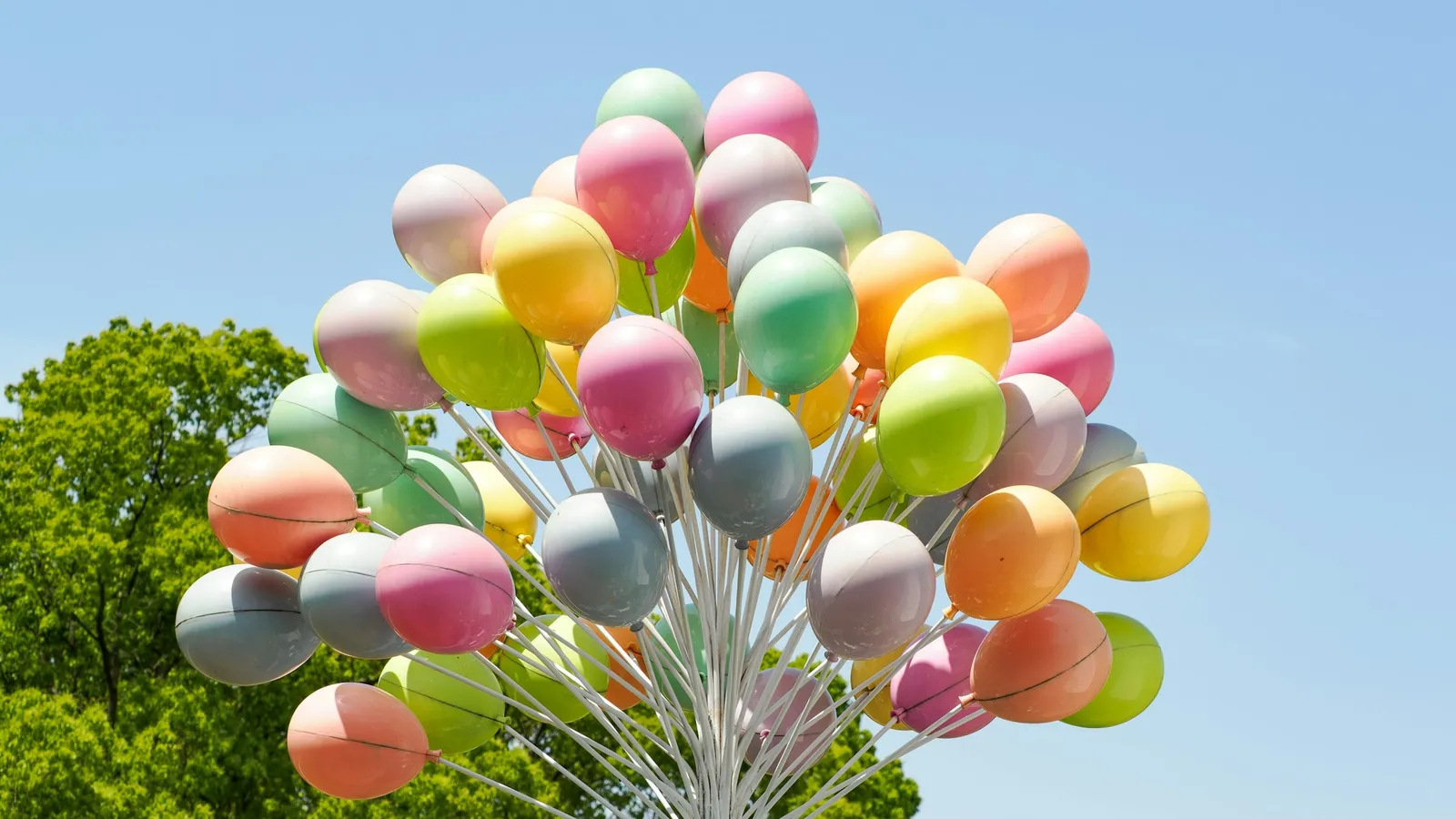 A bunch of pastel balloons against a blue sky