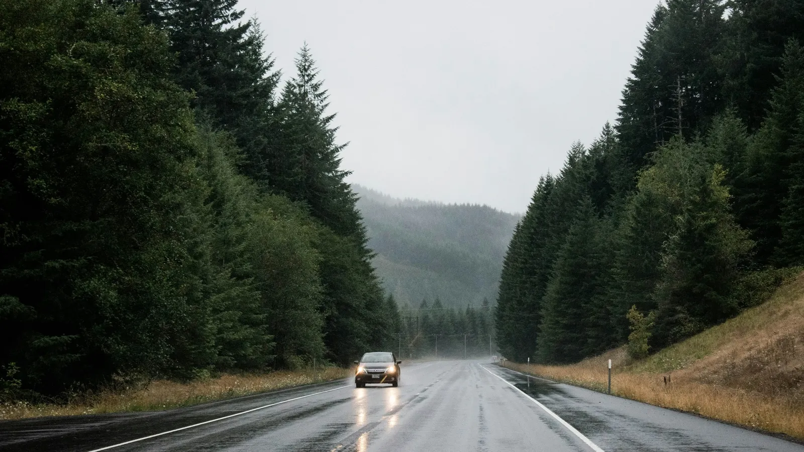 A car driving along a wet road through a forest