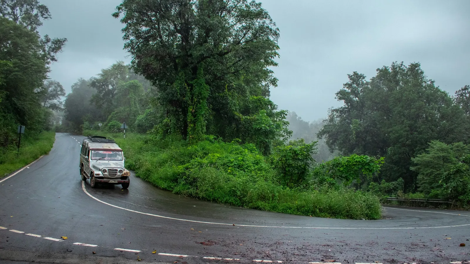 A car on a wet road winding through dense green forest