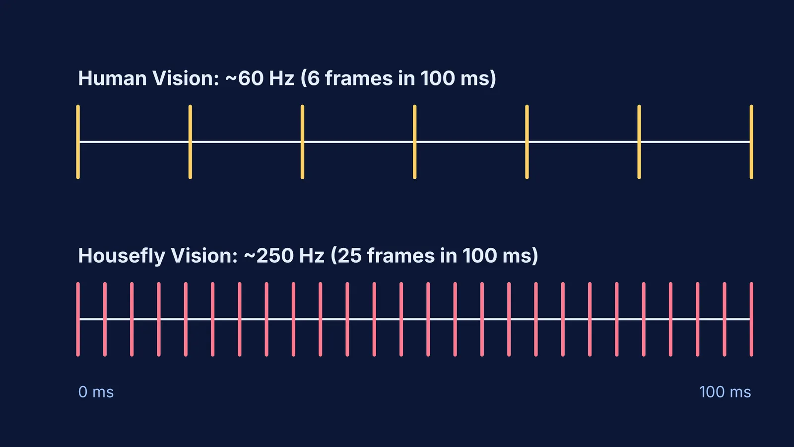 A chart comparing human vision at 60 Hz to fly vision at 250 Hz