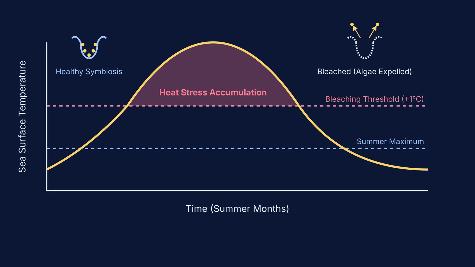 A chart showing the heat stress threshold and a healthy versus bleached coral.