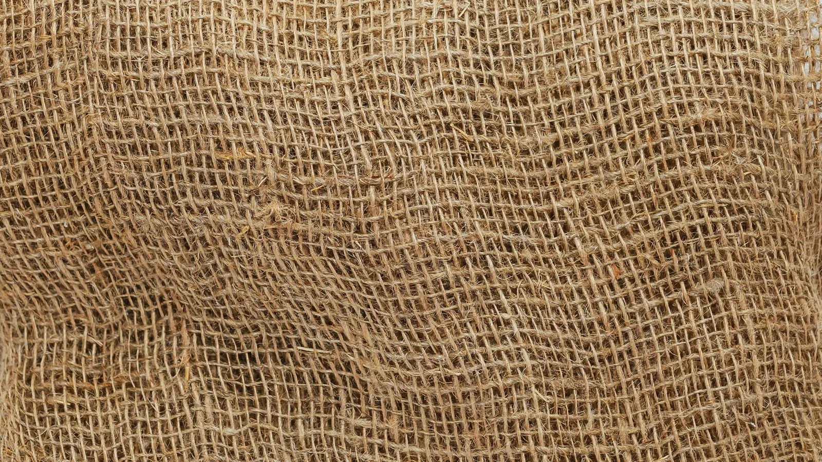 A close-up of loosely woven gauze fabric