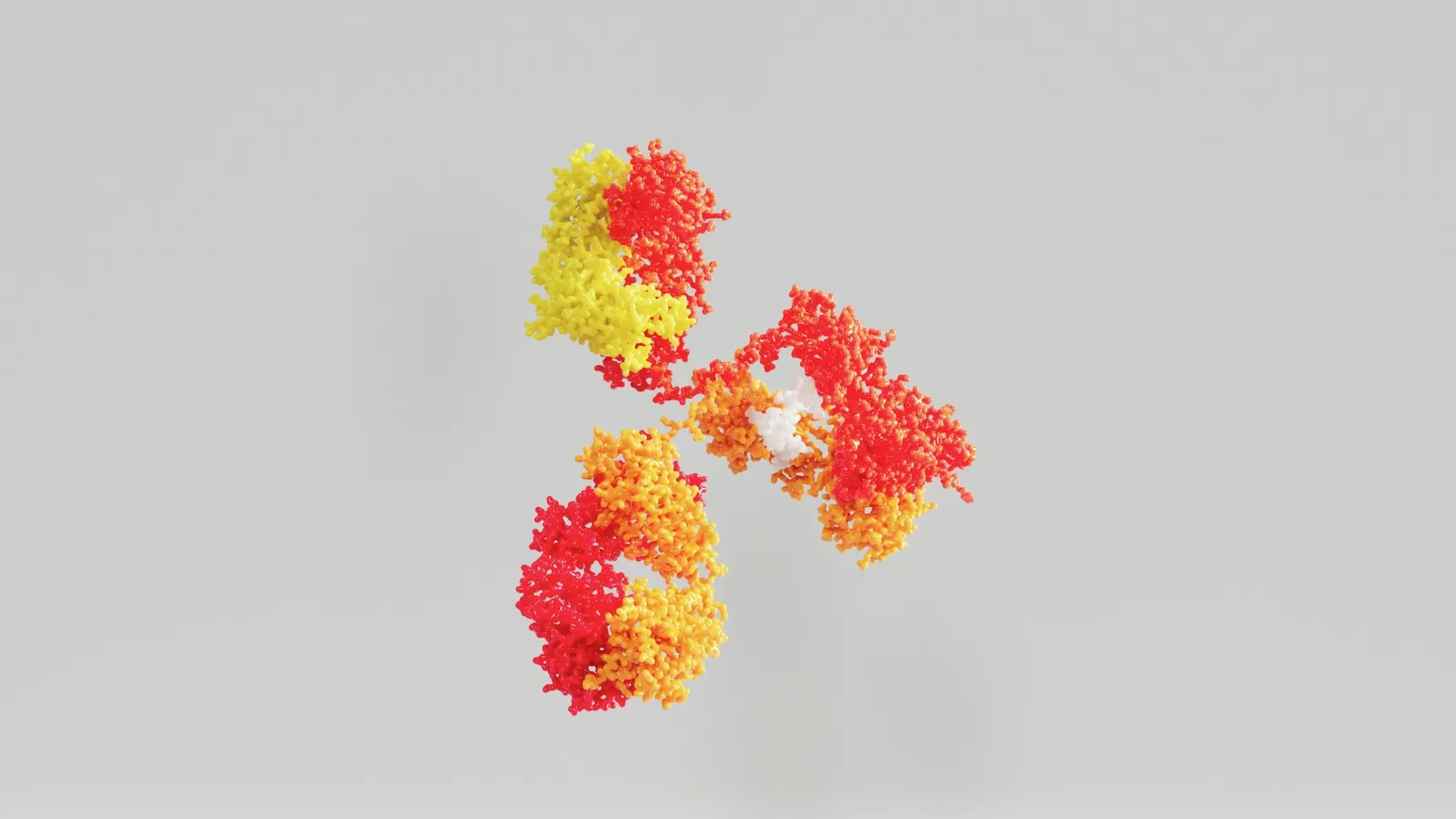 A colourful model of a Y-shaped antibody on grey