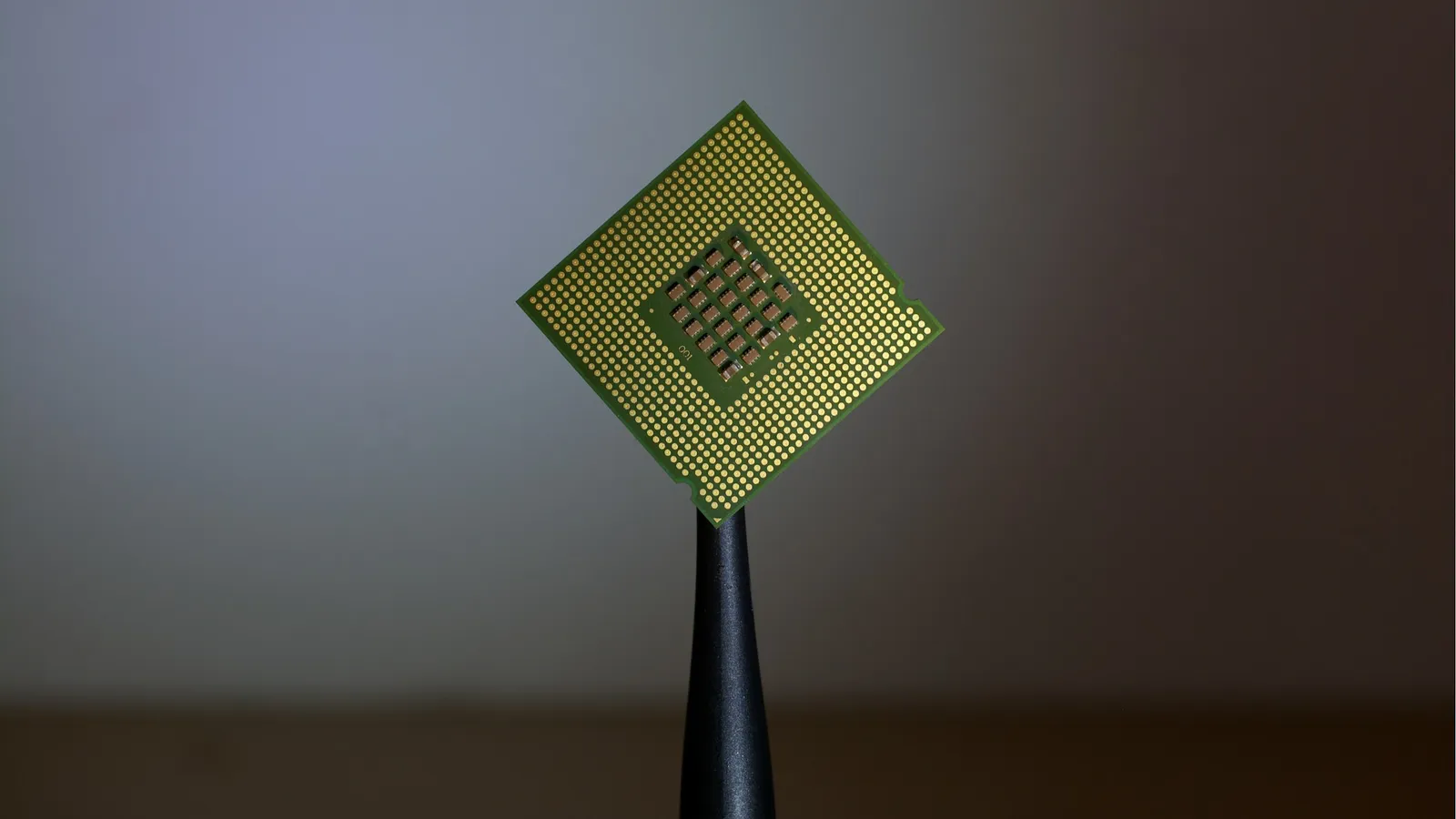 A computer processor chip held in tweezers