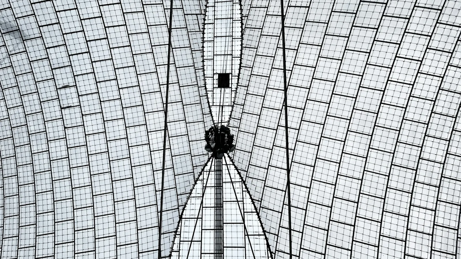 A curved grid pattern pinched in the middle