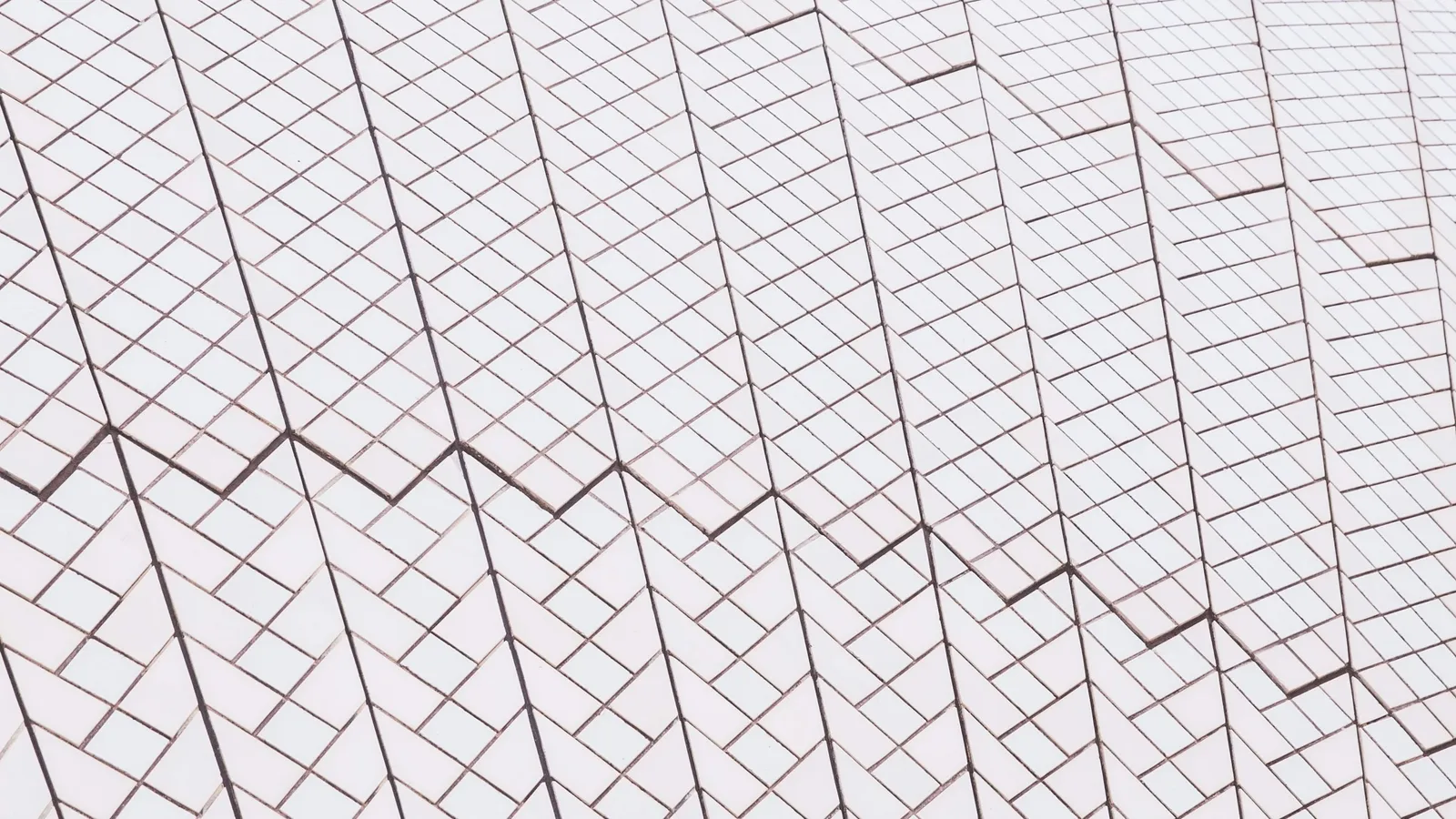 A curved surface covered in a grid of lines