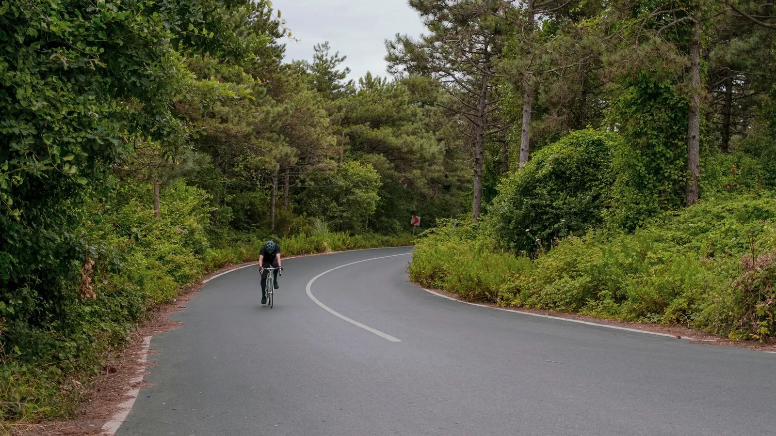 A cyclist riding along a winding road
