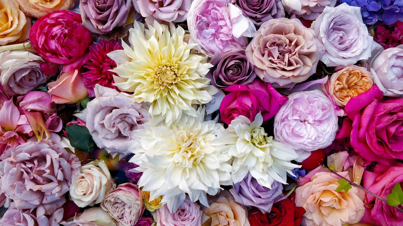 A dense bunch of flowers in many colours