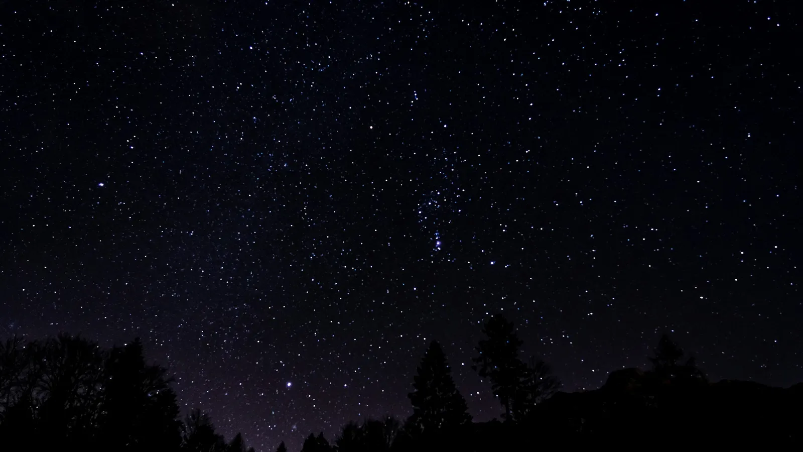 A dense field of stars above dark treetops