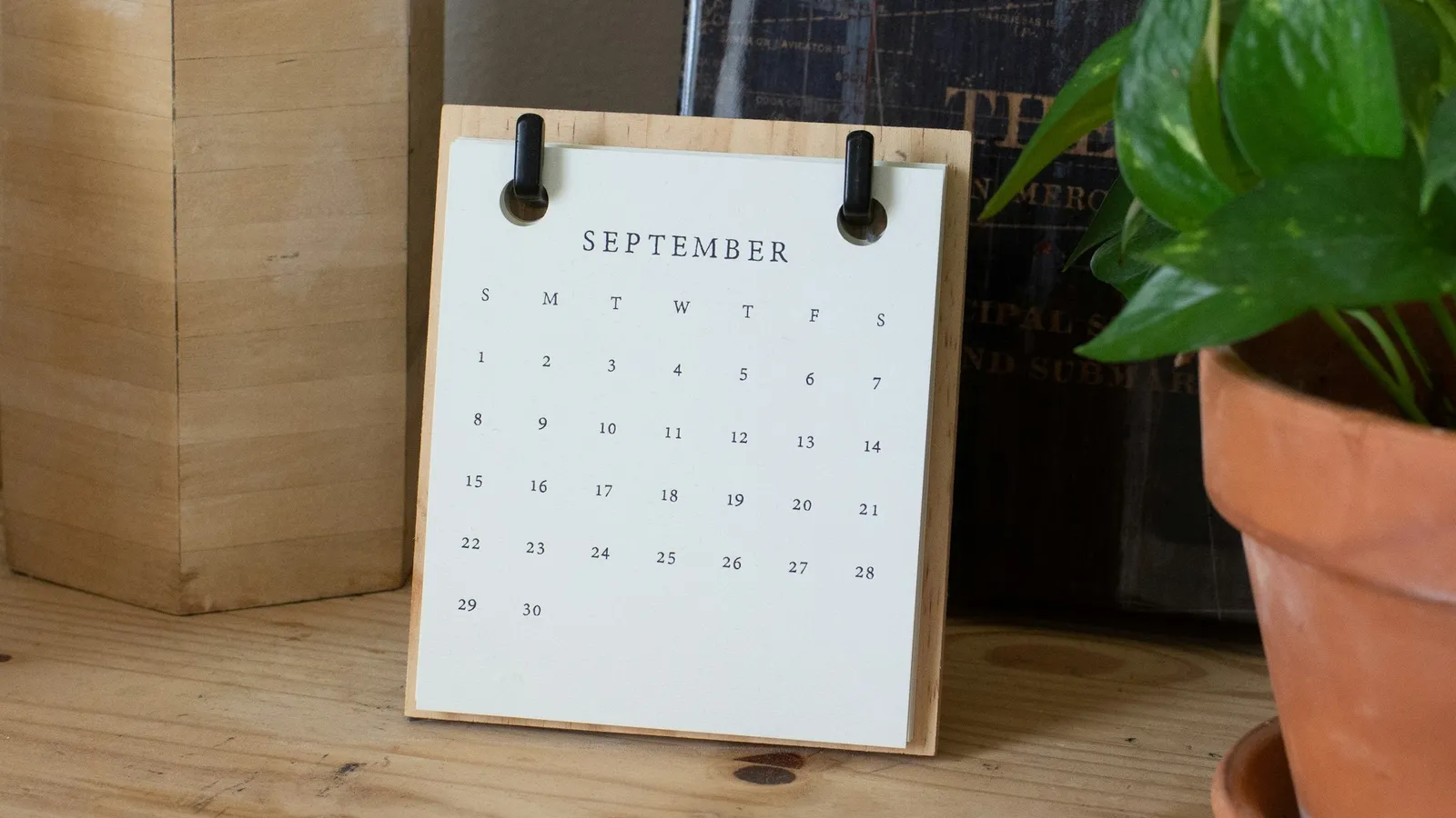 A desk calendar beside a potted plant