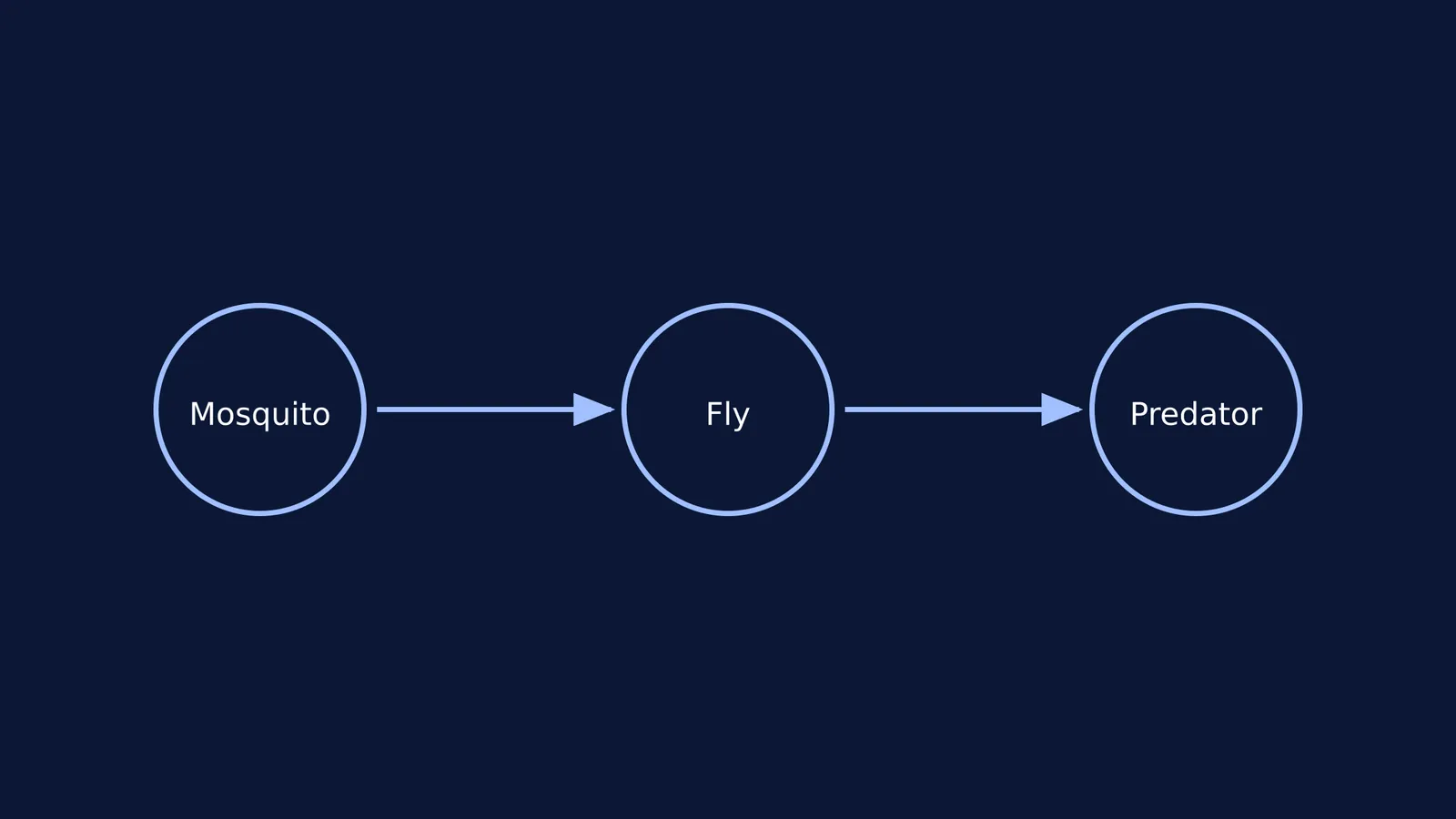 A diagram of a food chain showing mosquito, fly, and predator.