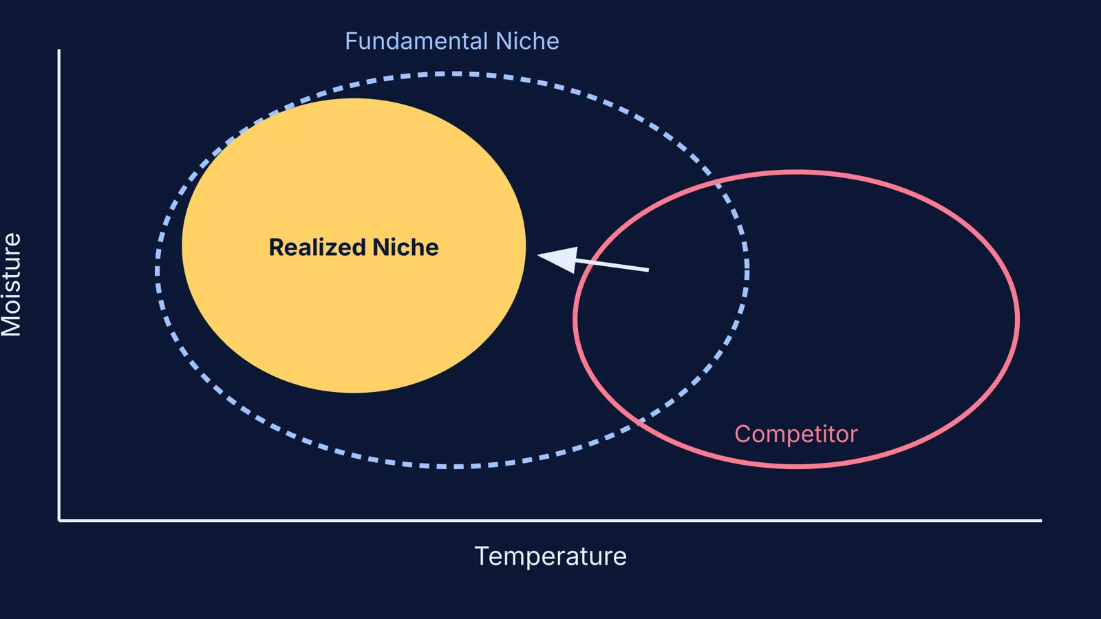 A diagram showing a realized niche compressed by a competitor