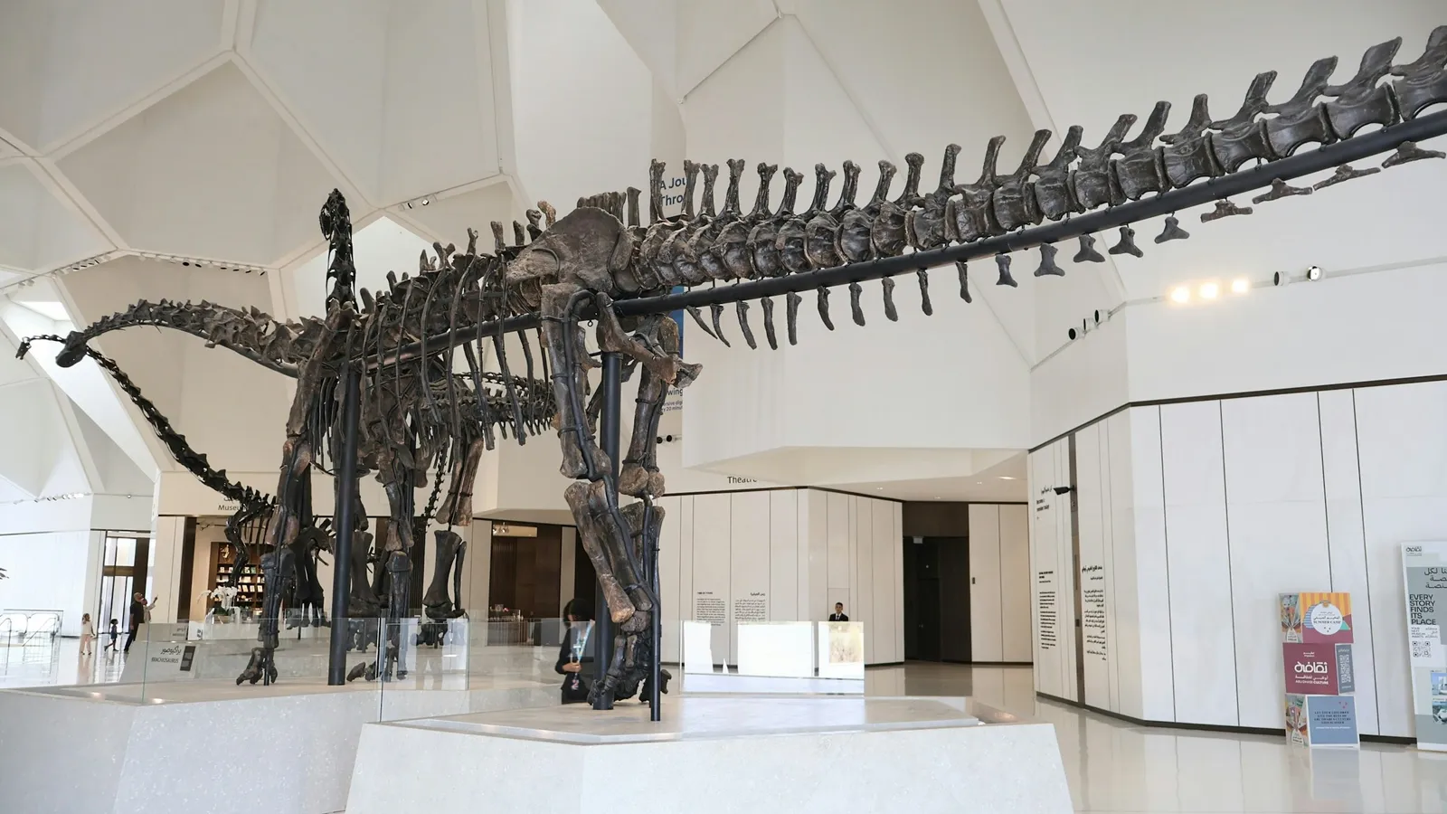 A dinosaur skeleton in a museum hall