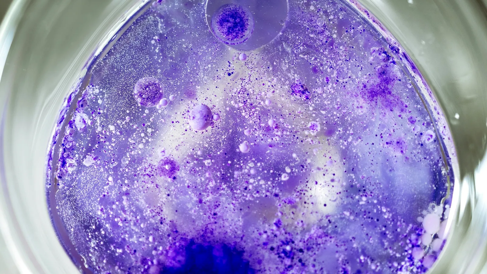 A dish of samples stained deep purple