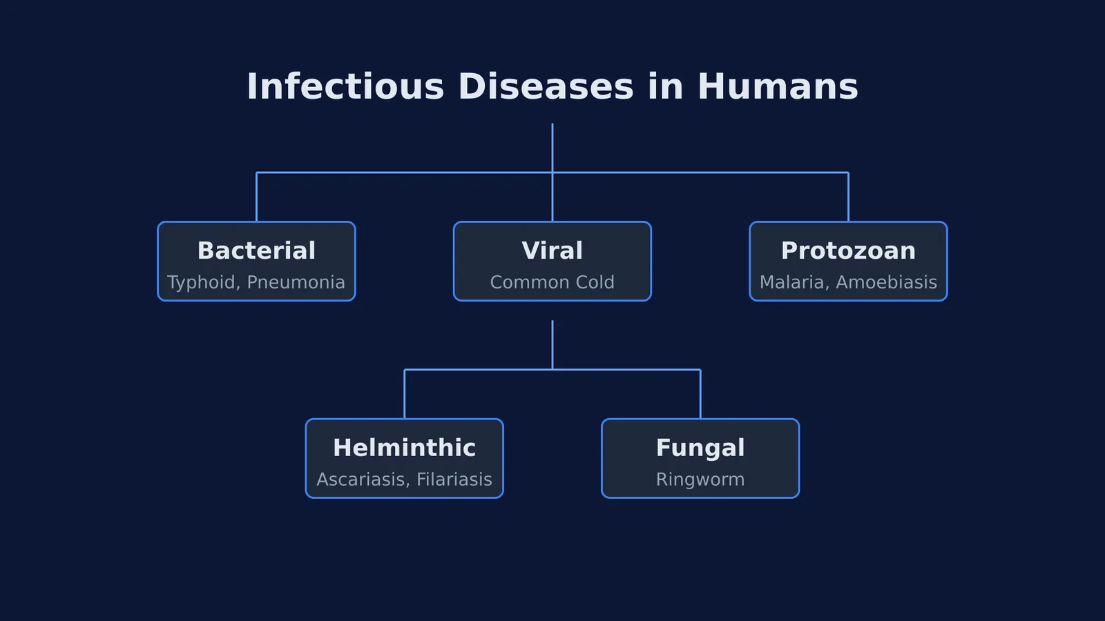 A flowchart categorising the eight NCERT diseases by pathogen type.