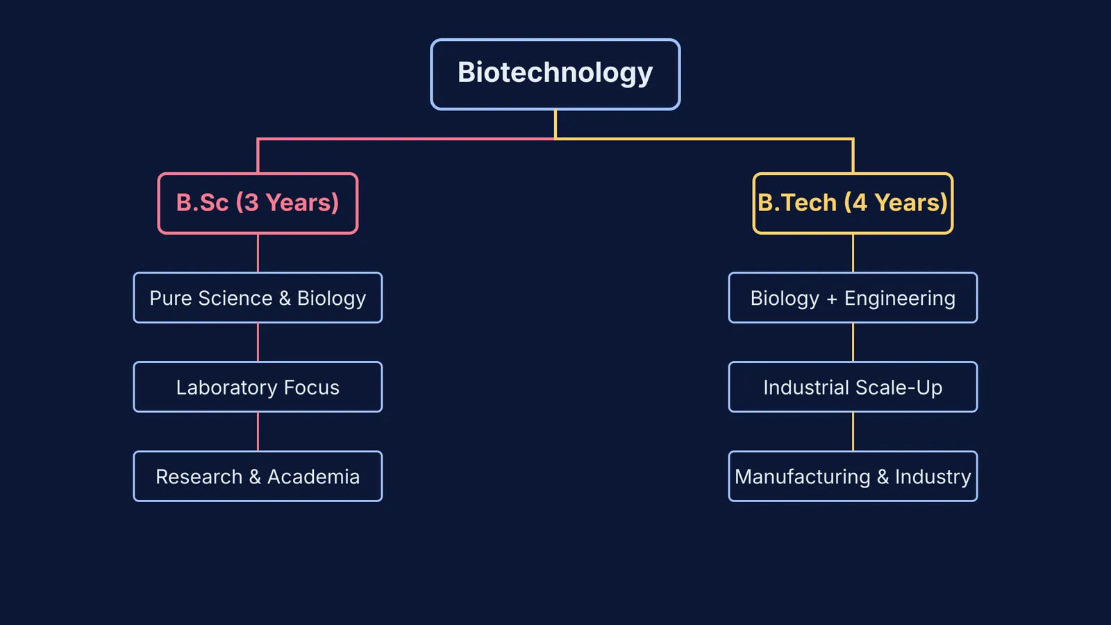 A flowchart comparing B.Sc and B.Tech in Biotechnology