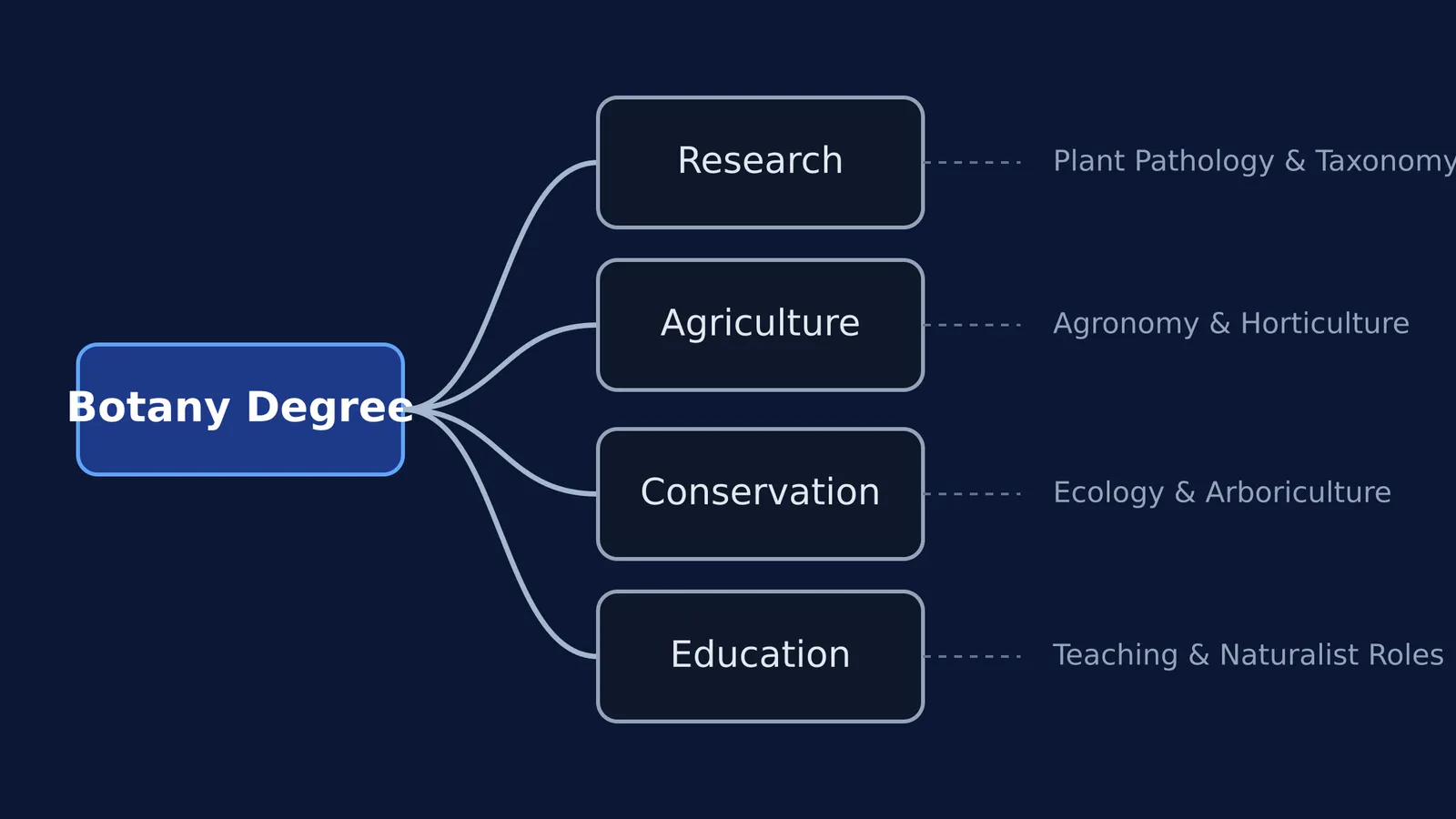 A flowchart showing botany degree career paths: research, agriculture, conservation, and education.