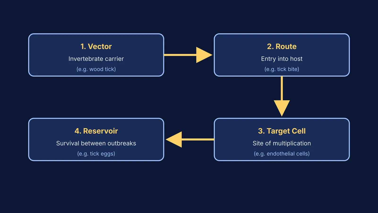A four-step flowchart showing vector, route, target cell, and reservoir.