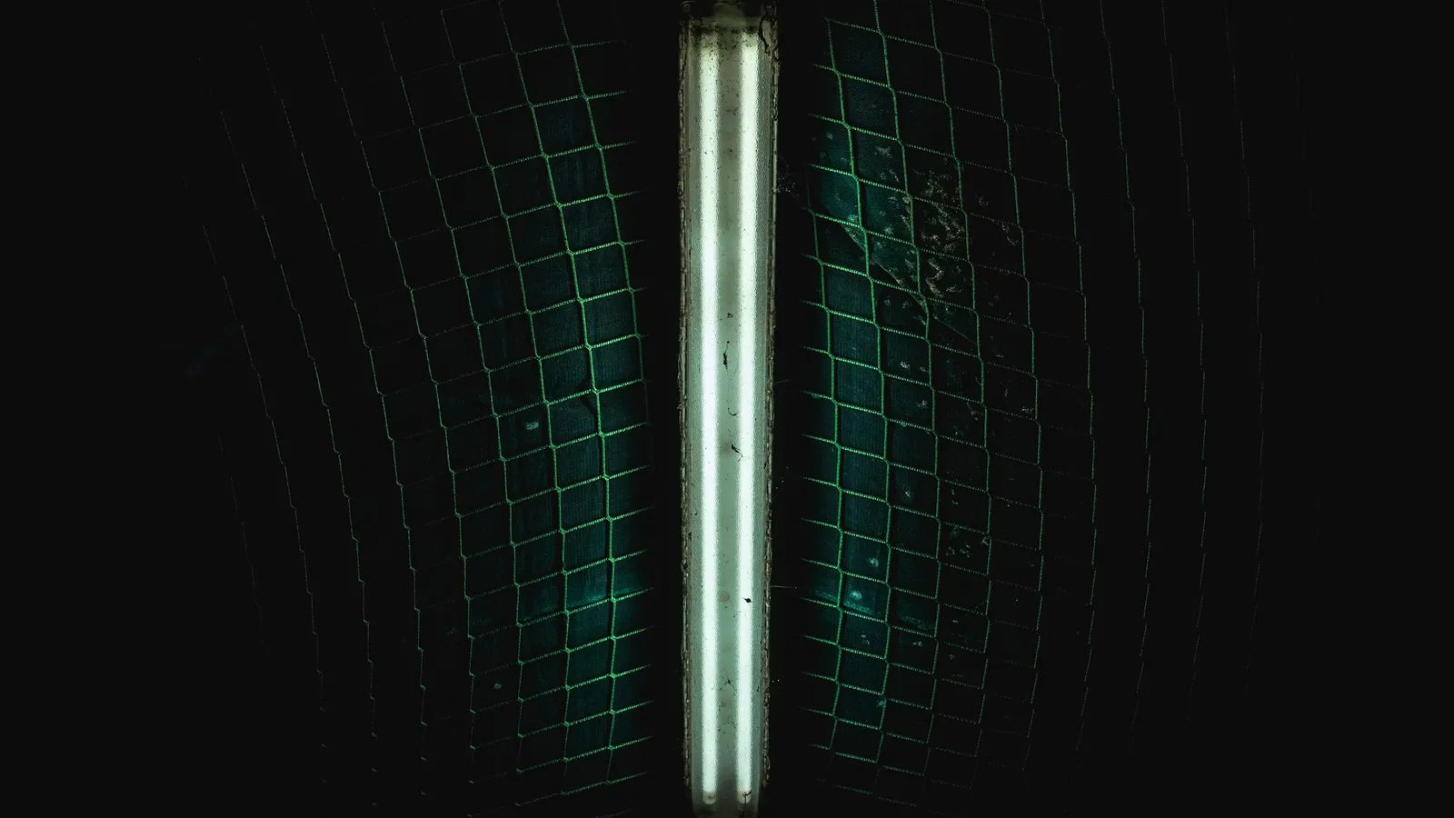 A glowing glass discharge tube against a dark background