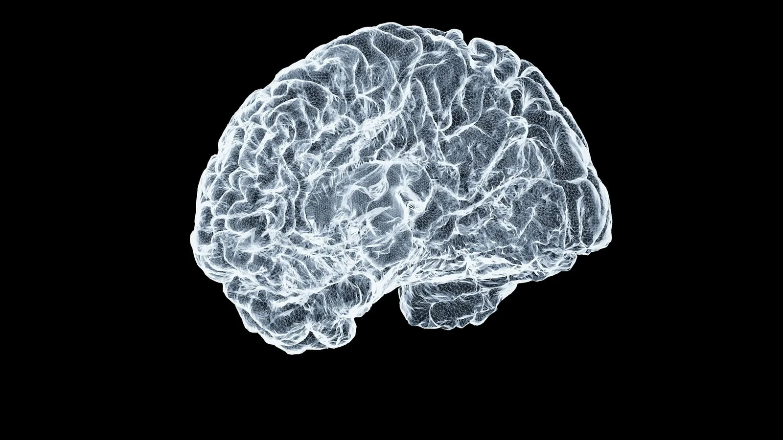 A glowing white illustration of a human brain on black