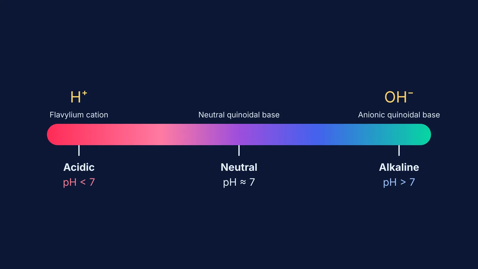 A gradient scale showing anthocyanin colour shifting from red to blue as pH increases.