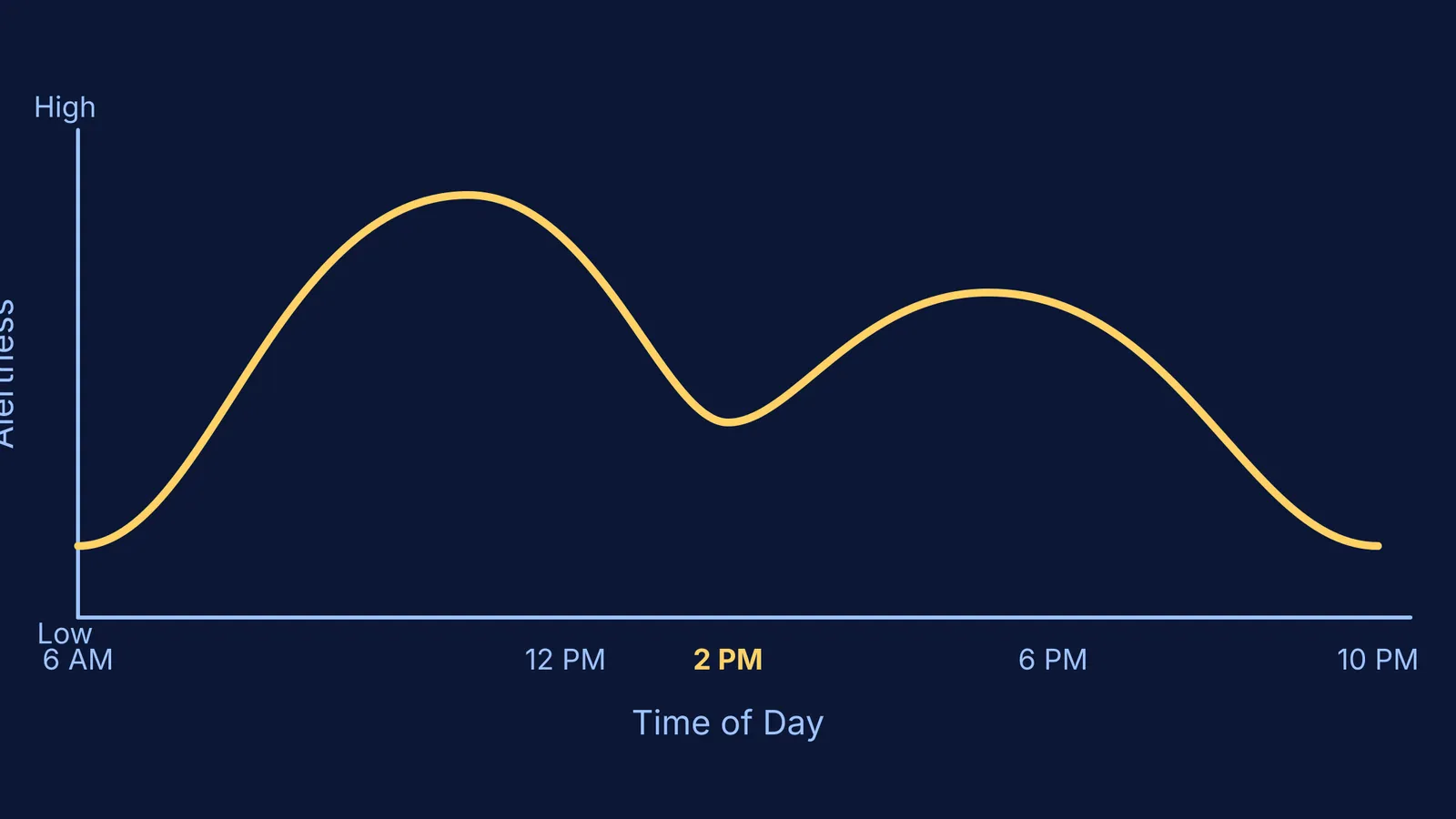 A graph showing alertness dropping at 2 PM.