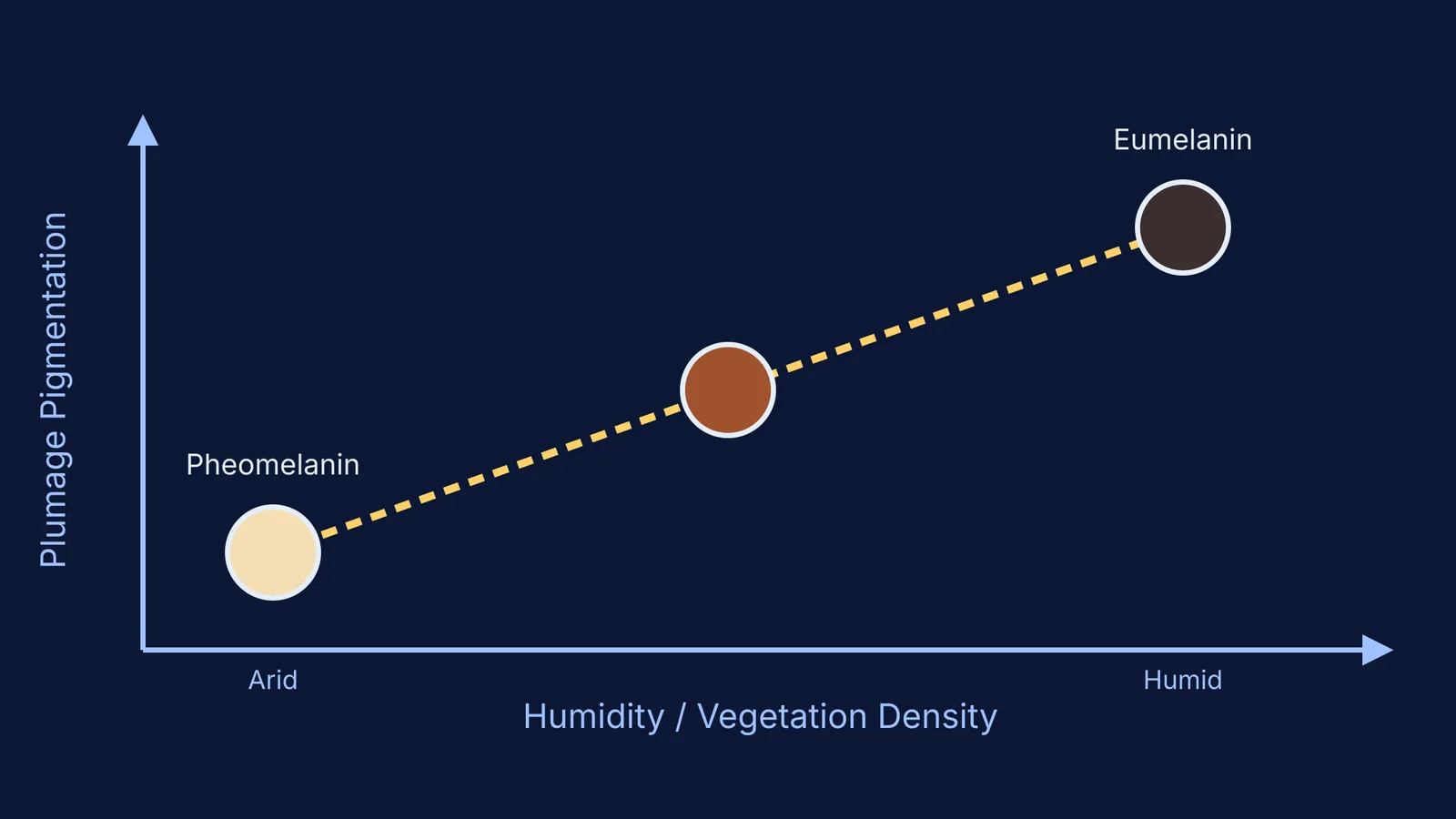 A graph showing animal pigmentation darkening as humidity increases