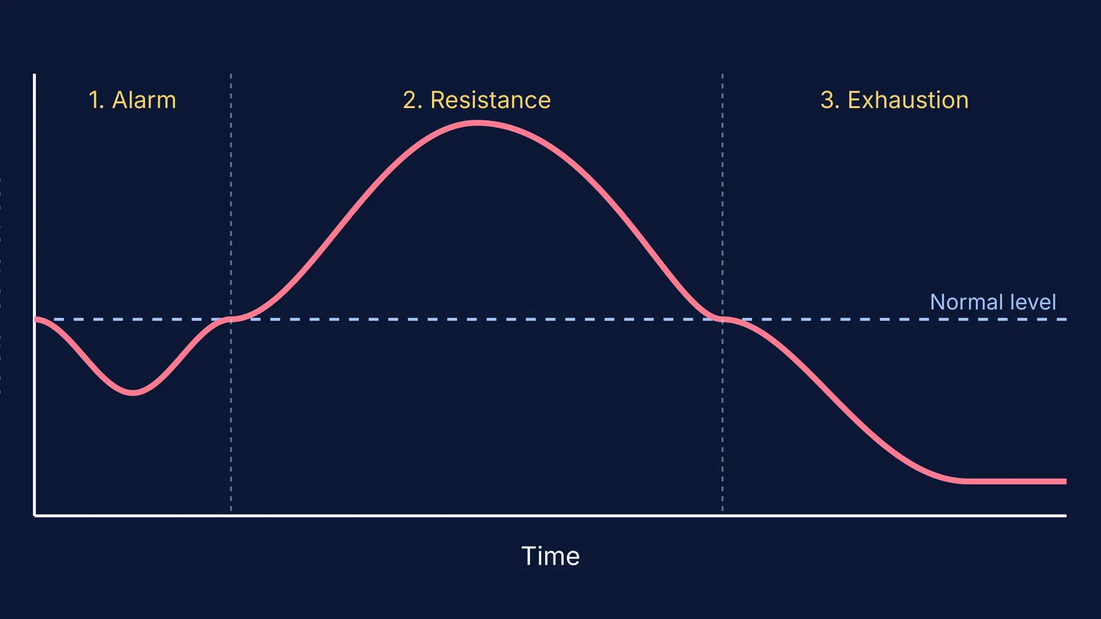 A graph showing Selye's General Adaptation Syndrome with three stages: Alarm, Resistance, and Exhaustion