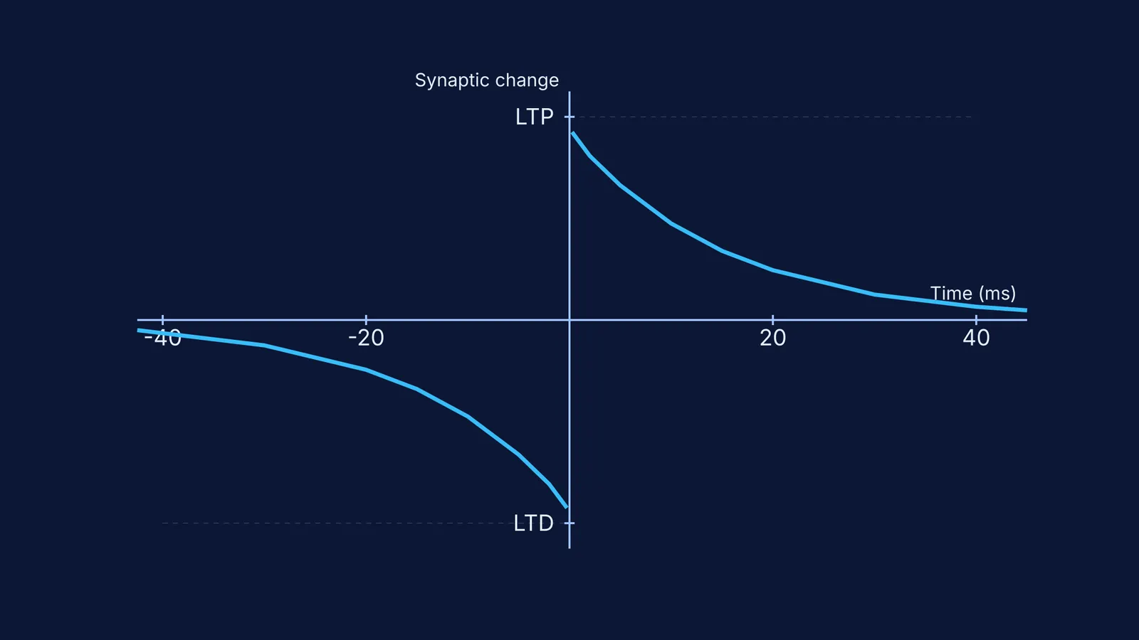 A graph showing the STDP curve for synaptic weight change.