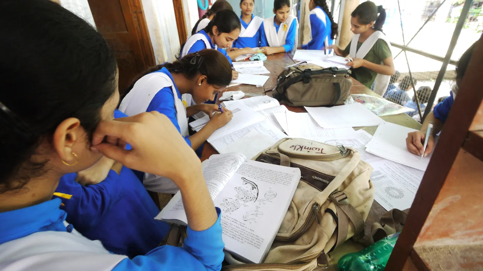 A group of students sitting together studying a textbook