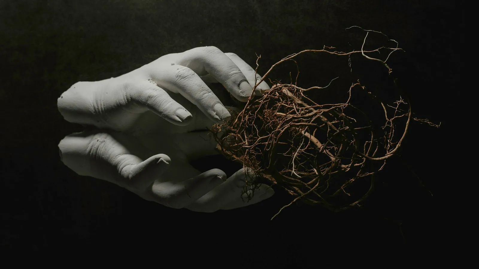 A hand holding a bundle of dried roots