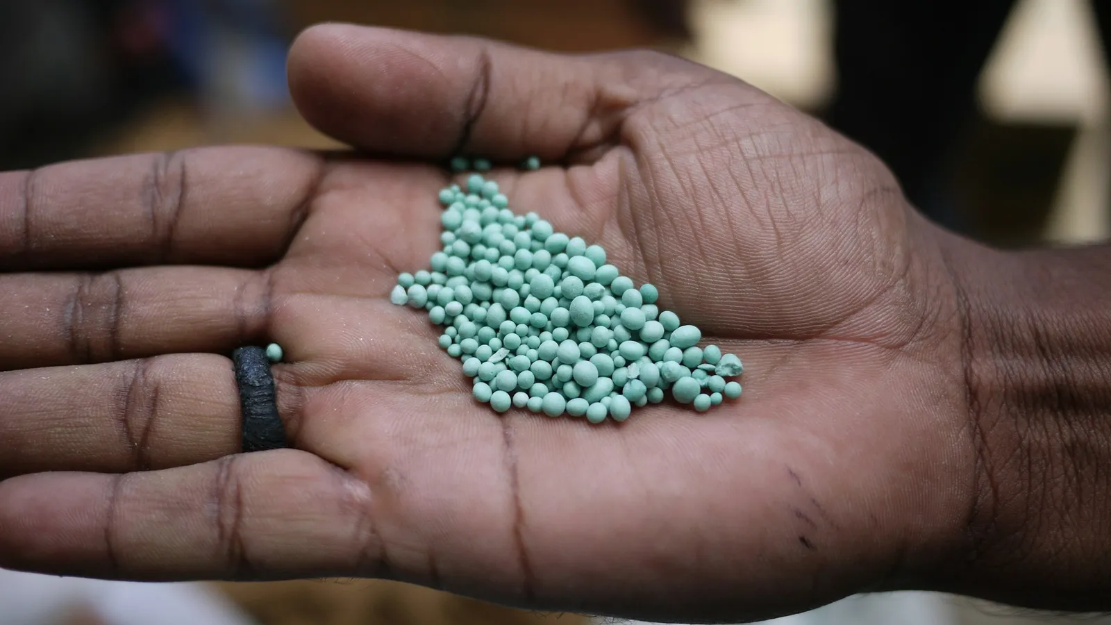 A hand holding green fertiliser granules
