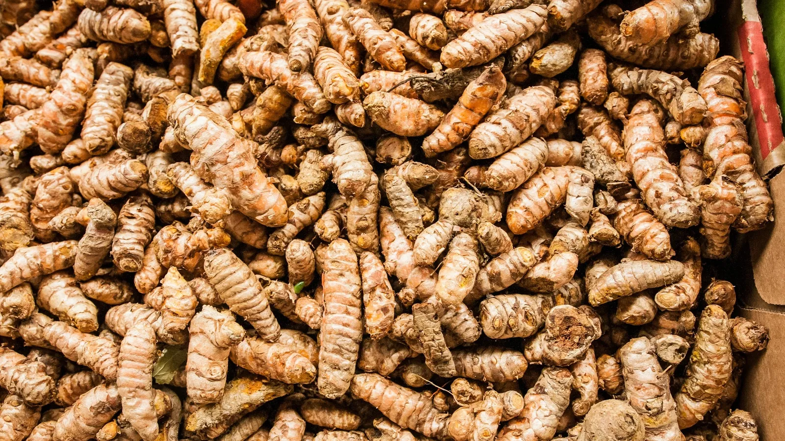 A heap of dried turmeric roots