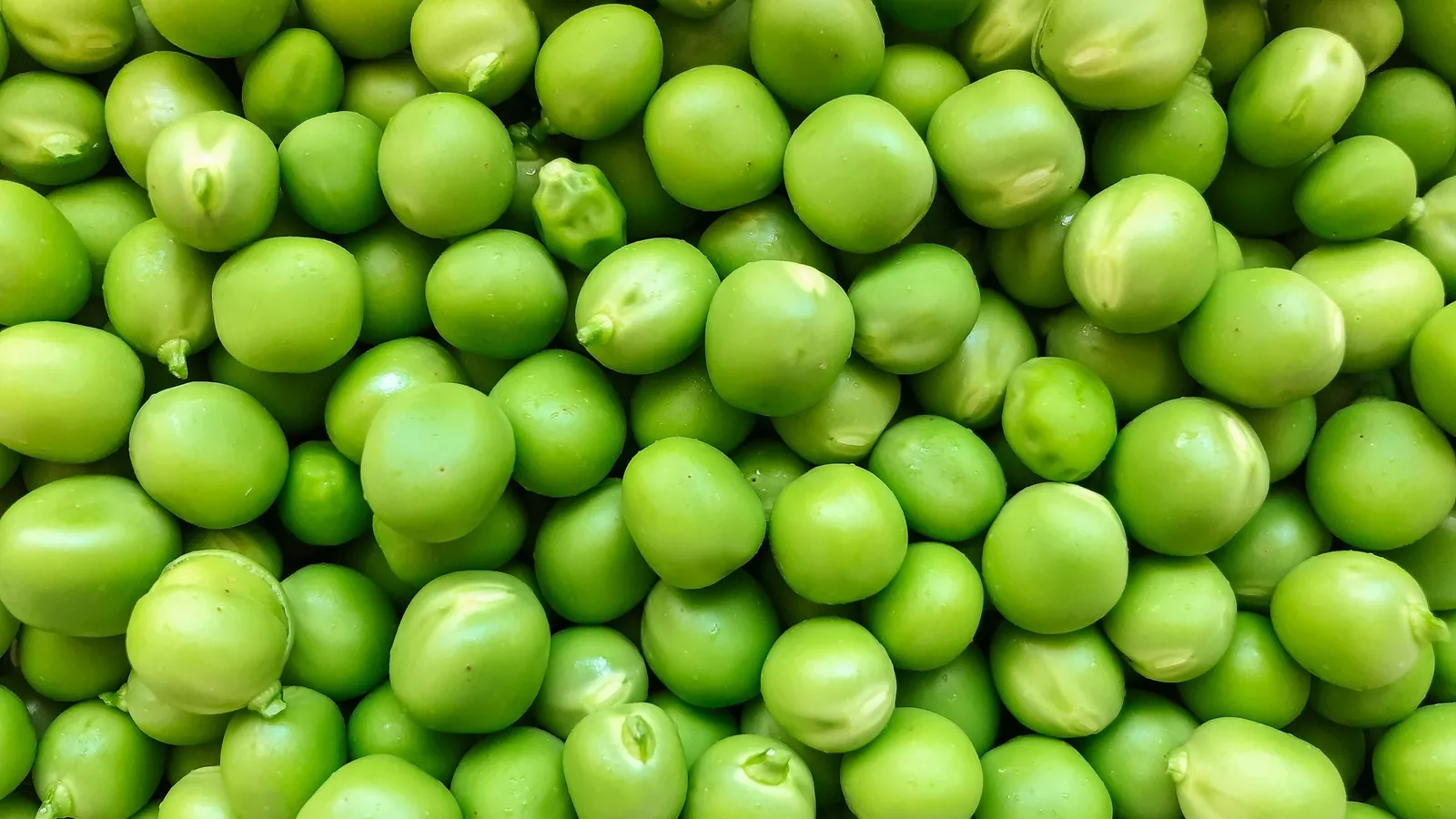 A heap of fresh green peas