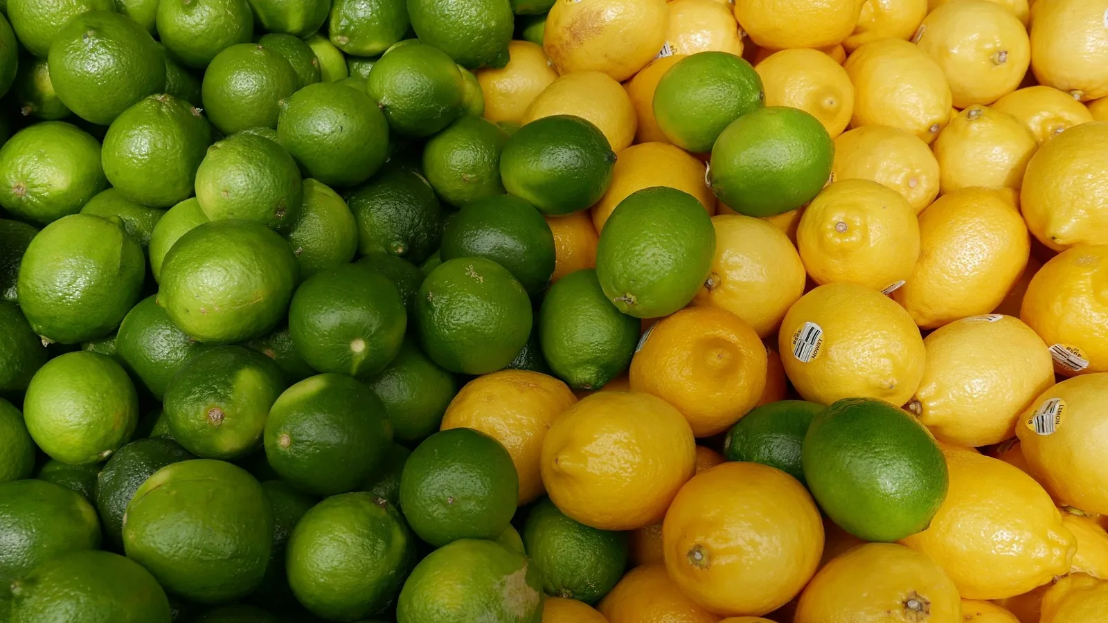 A heap of fresh limes and lemons
