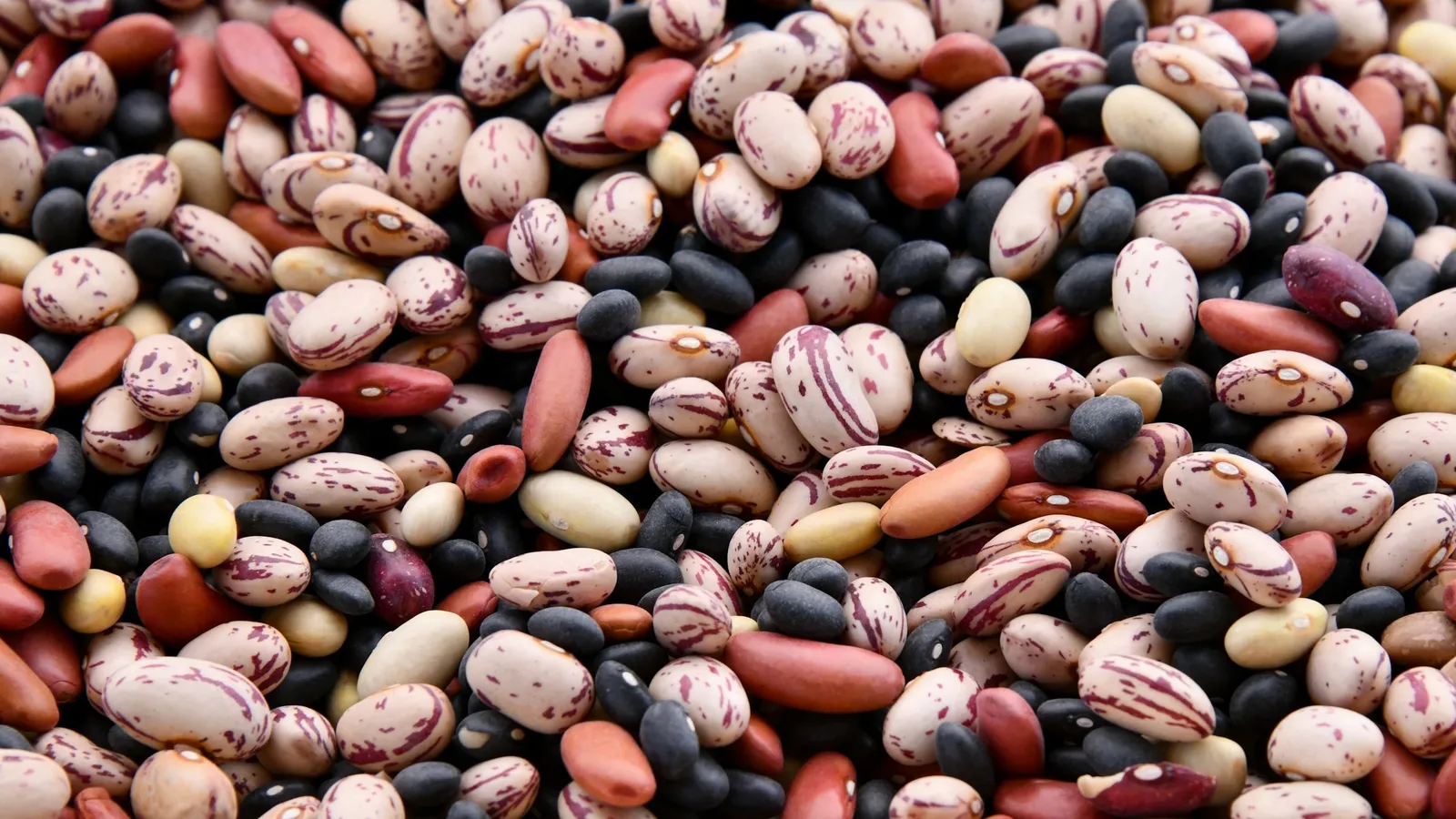 A heap of speckled dried beans