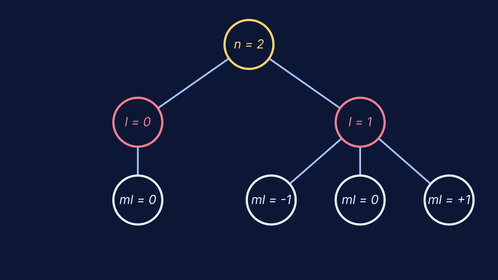 A hierarchy diagram of allowed quantum numbers for n = 2