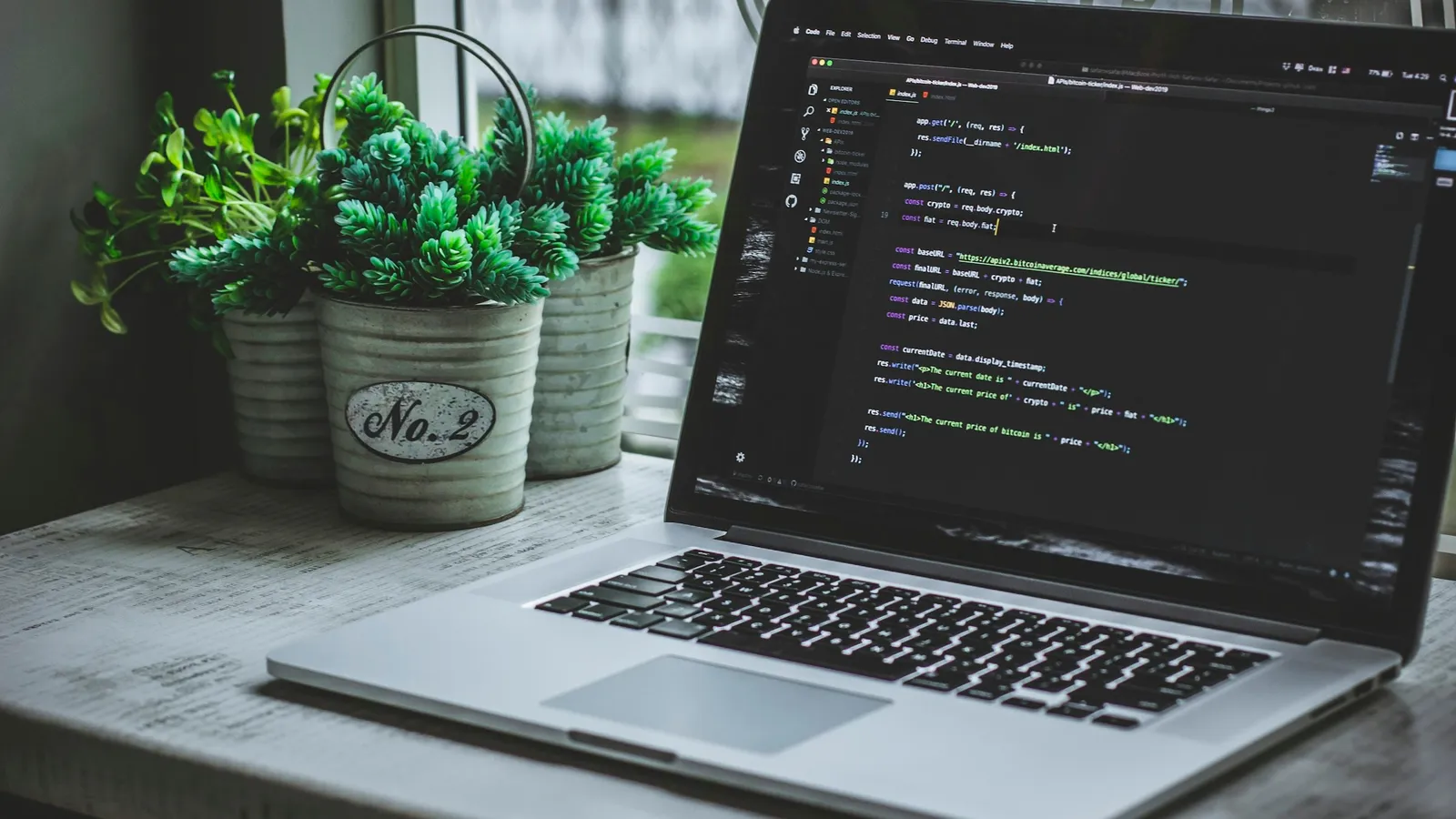 A laptop showing program code beside a potted plant