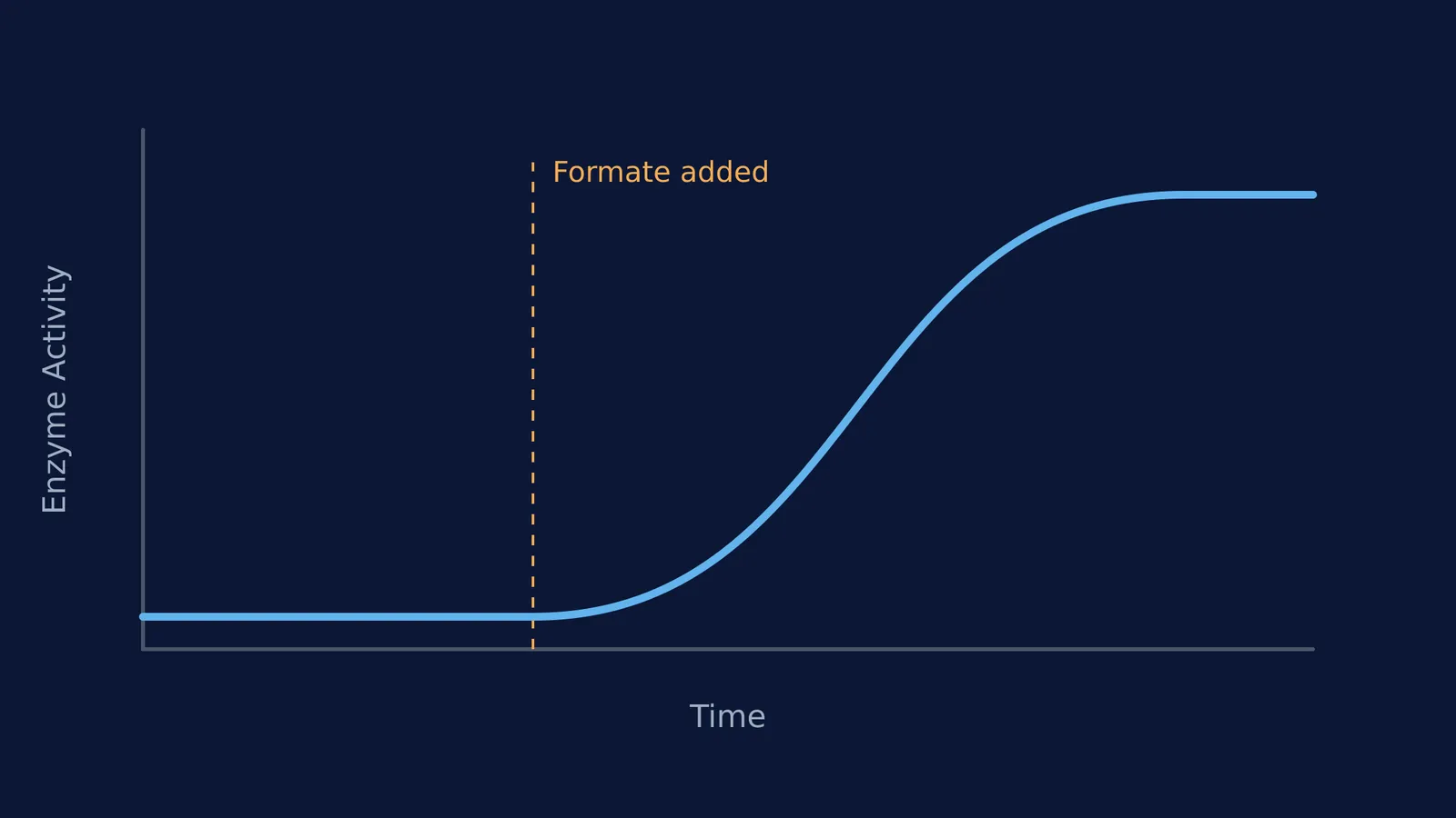A line graph showing enzyme activity rising only after formate is added.