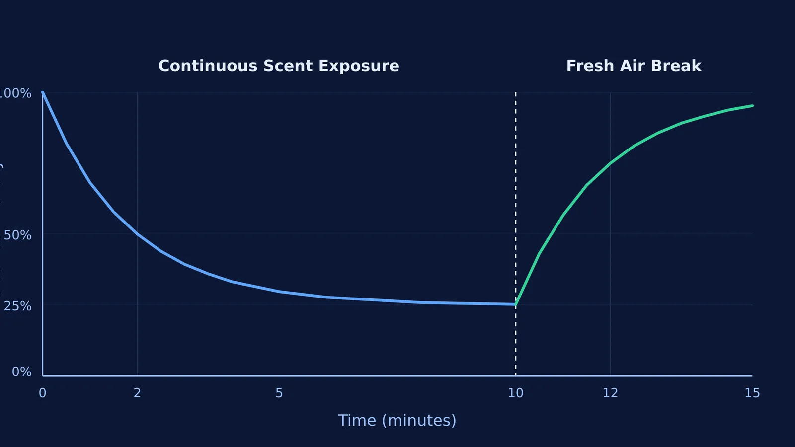 A line graph showing perceived smell intensity dropping by half in two minutes and recovering.