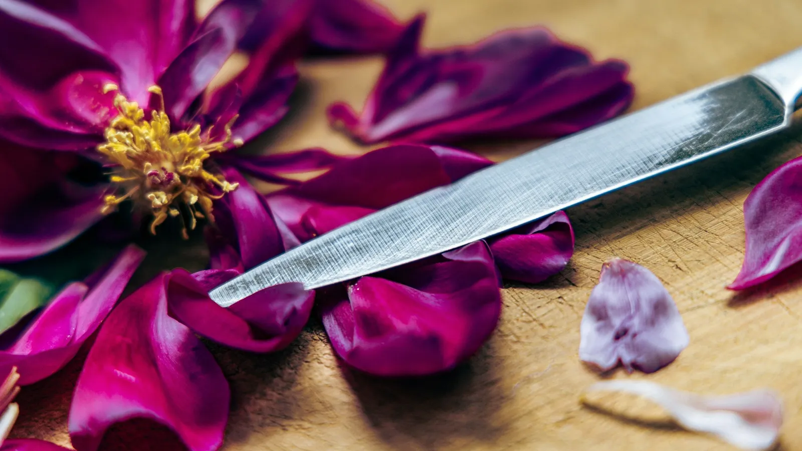A metal tuning fork lying among purple flower petals