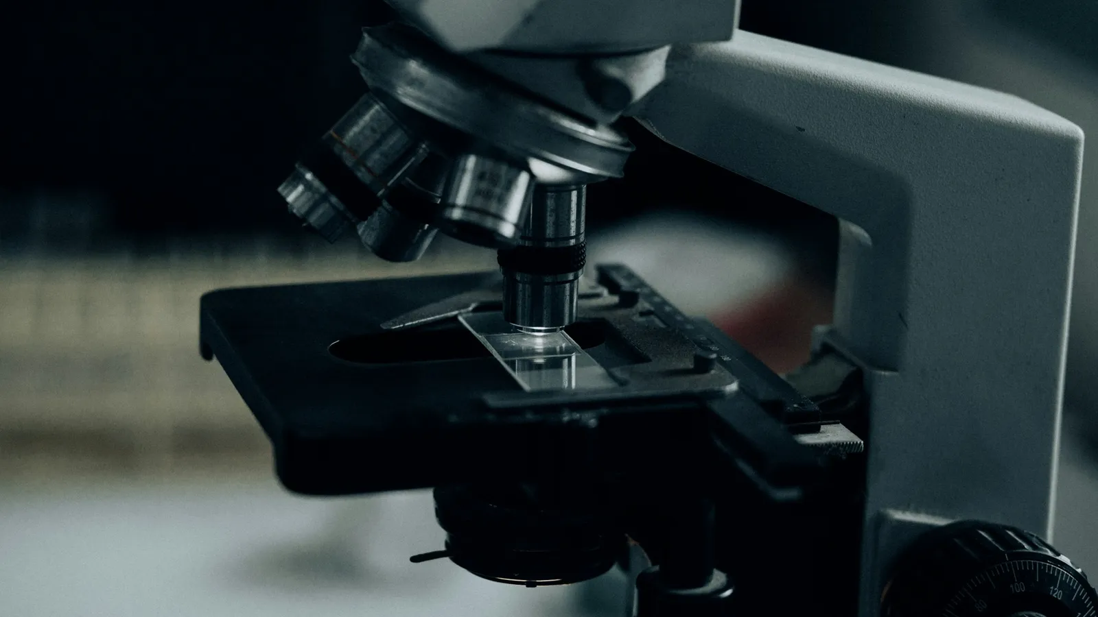 A microscope stage and lens in close-up