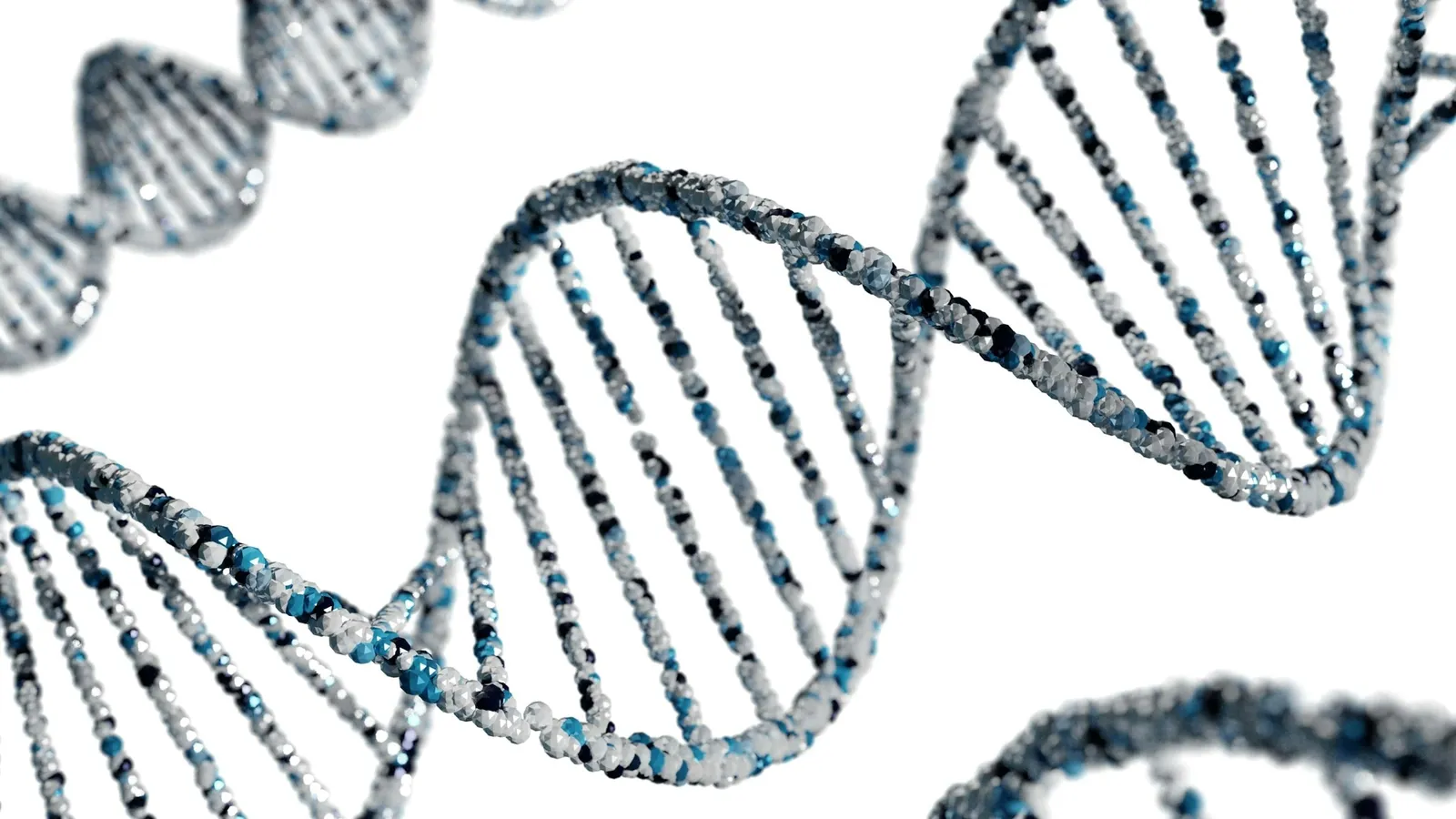 A model of the DNA double helix on white