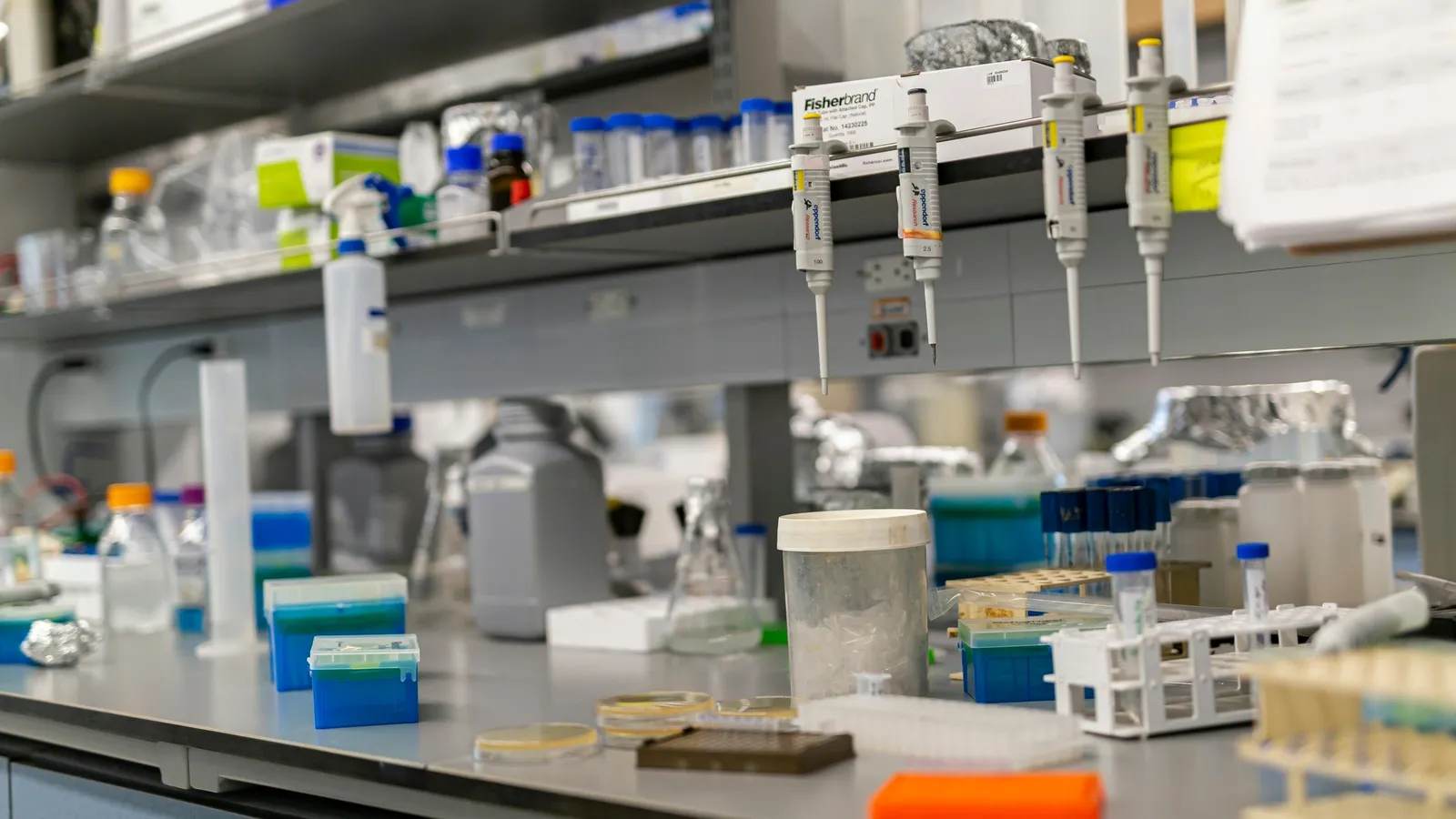 A molecular biology lab bench with racks and pipettes